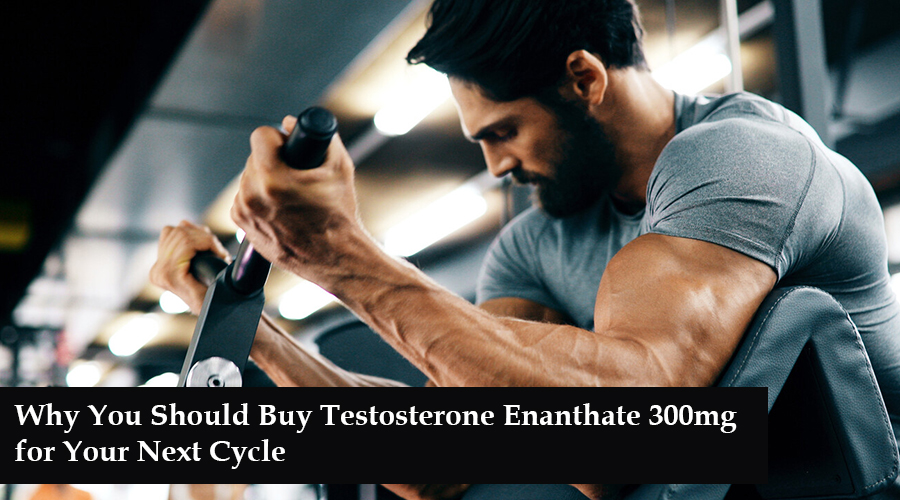 buy testosterone enanthate 300mg